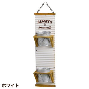 Aؔ Ǌ|bN K[fjOG  GRtFEnMO|bg