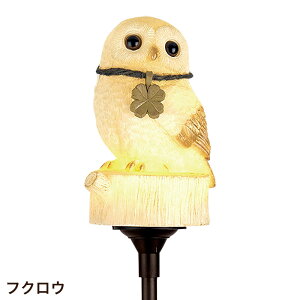 \[[Cg  킢 O LED |~G \[[K[fCg