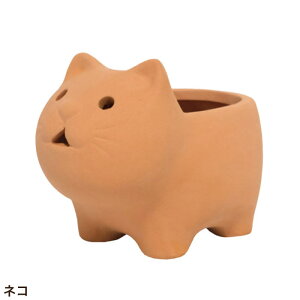 Aؔ v^[ fĂ 킢 Aj}eRb^SS lR Jo u^ ETM