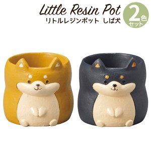 Aؔ ~j 킢 y gW|bg hbOV[Y Ό 2FZbg