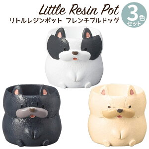 Aؔ ~j 킢 y gW|bg hbOV[Y t`uhbO 3FZbg