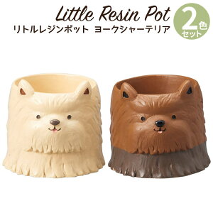 Aؔ ~j 킢 y gW|bg hbOV[Y [NV[eA 2FZbg