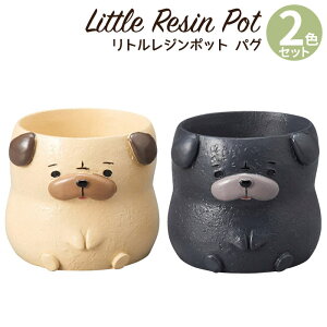 Aؔ ~j 킢 y gW|bg hbOV[Y pO 2FZbg