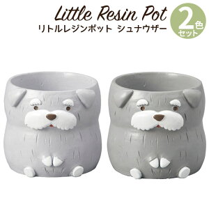 Aؔ ~j 킢 y gW|bg hbOV[Y ViEU[ 2FZbg