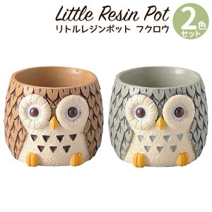 Aؔ ~j 킢 y gW|bg V[Y tNE 2FZbg