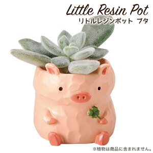 Aؔ ~j 킢 y gW|bg Aj}V[Y u^