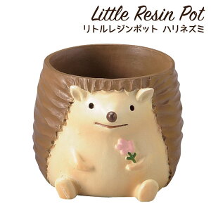 Aؔ ~j 킢 y gW|bg Aj}V[Y nlY~