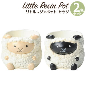 Aؔ ~j 킢 y gW|bg Aj}V[Y qcW 2FZbg