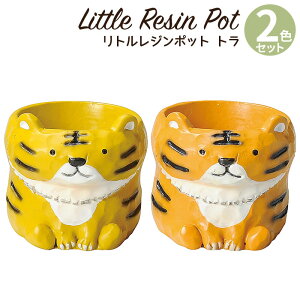 Aؔ ~j 킢 y gW|bg Aj}V[Y g 2FZbg