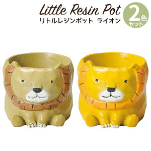 Aؔ ~j 킢 y gW|bg Aj}V[Y CI 2FZbg