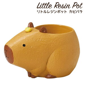 Aؔ ~j 킢 y gW|bg Aj}V[Y Jso