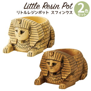 Aؔ ~j 킢 y gW|bg ӂȂ̃V[Y XtBNX 2FZbg