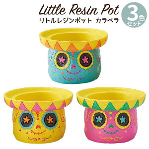 Aؔ ~j 킢 y gW|bg ӂȂ̃V[Y Jx 3FZbg