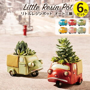 Aؔ ~j 킢 y gW|bg I[gO 6FZbg