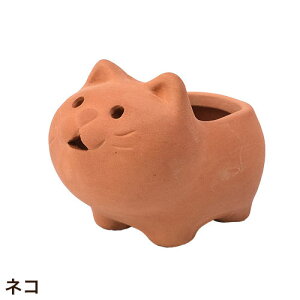 Aؔ v^[ fĂ 킢 Aj}eRb^SSS lR Jo u^ ETM