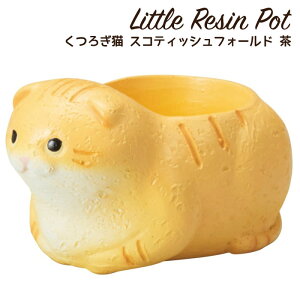 Aؔ ~j 킢 y gW|bg 났L XReBbVtH[h 