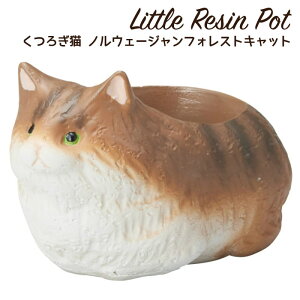 Aؔ ~j 킢 y gW|bg 났L mEF[WtHXgLbg