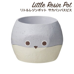 Aؔ ~j 킢 y gW|bg Ĉ̃V[Y TJooXsX