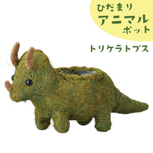 Aؔ 킢 Ȃ Ђ܂Aj}|bg gPgvX