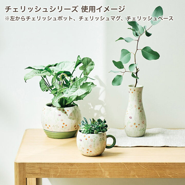 楽天市場】植木鉢 おしゃれ 穴なし 受け皿付き 陶器 マグカップ型 