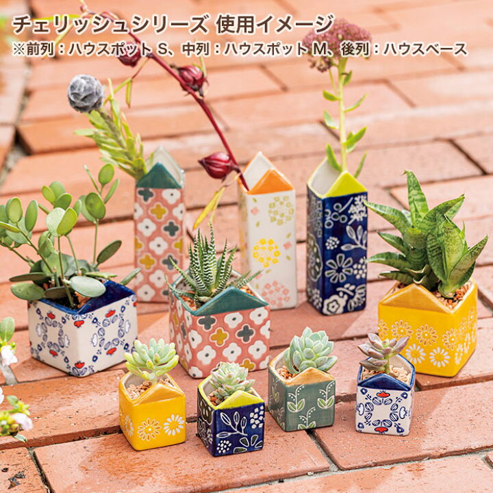 楽天市場】植木鉢 おしゃれ 穴なし 受け皿付き 陶器 マグカップ型 