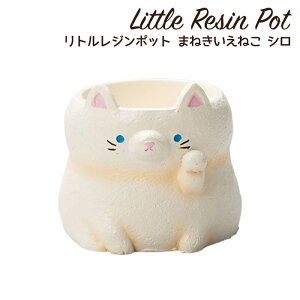 Aؔ ~j 킢 y L lR gW|bg ܂˂˂ V