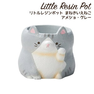 Aؔ ~j 킢 y L lR gW|bg ܂˂˂ AVEO[