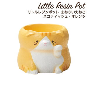 Aؔ ~j 킢 y L lR gW|bg ܂˂˂ XReBbVEIW