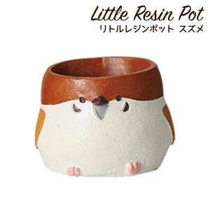 Aؔ ~j 킢 y gW|bg V[Y XY