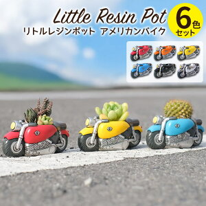 Aؔ ~j 킢 y gW|bg AJoCN 6FZbg