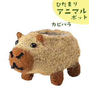 Aؔ 킢 Ȃ Ђ܂Aj}|bg Jso