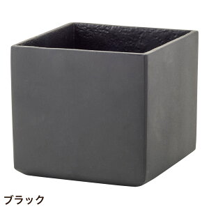 Aؔ  lp  A~ Vv u[^|bg XNGA