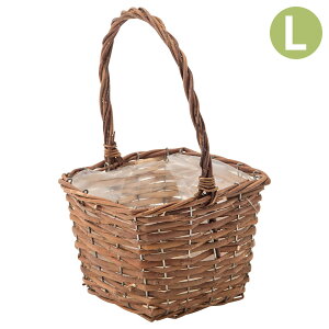 Aؔ  JS   K[foXPbg XNGAL 11605