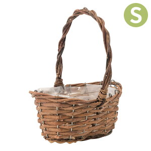 Aؔ  JS   K[foXPbg I[oS 11606