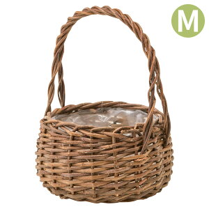 Aؔ  JS   K[foXPbg EhM 11656