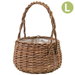 Aؔ  JS   K[foXPbg EhL 11657