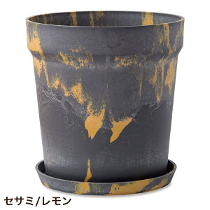 Aؔ vX`bN  ی^  󂯎Mt A[ovc|bg }[u 38cm 12