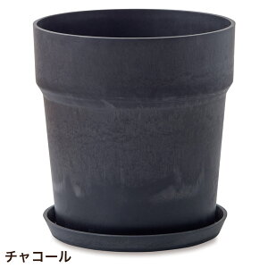 Aؔ vX`bN  ی^  󂯎Mt A[ovc|bg \bh 26.5cm 8