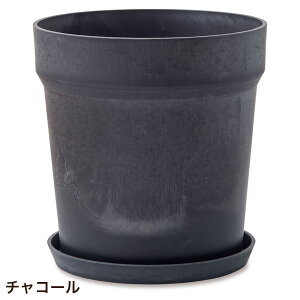 Aؔ vX`bN  ی^  󂯎Mt A[ovc|bg \bh 32.5cm 10