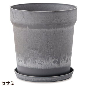 Aؔ vX`bN  ی^  󂯎Mt A[ovc|bg \bh 32.5cm 10