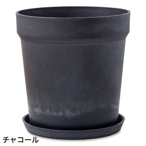 Aؔ vX`bN  ی^  󂯎Mt A[ovc|bg \bh 38cm 12