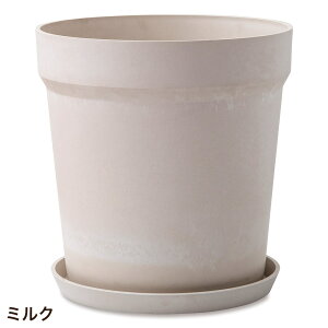 Aؔ vX`bN  ی^  󂯎Mt A[ovc|bg \bh 38cm 12