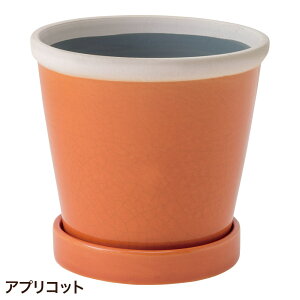 Aؔ  ی^  󂯎Mt ObV[|bg 13cm 4