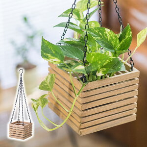 Jo[ ݂艺  nMO{bNX 41363