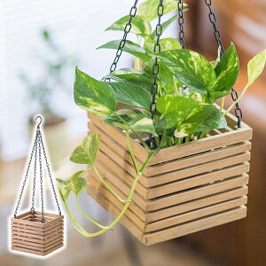 Jo[ ݂艺  nMO{bNX 41364