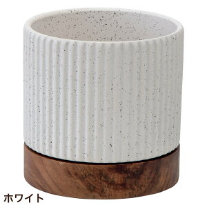 Aؔ  ی^  󂯎Mt ^CfB|bg 11cm 3.5