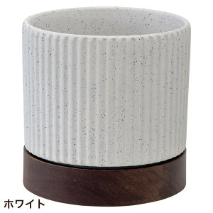 Aؔ  ی^  󂯎Mt ^CfB|bg 13.5cm 4.5