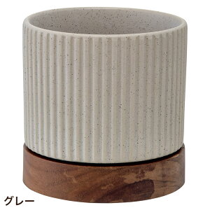 Aؔ  ی^  󂯎Mt ^CfB|bg 13.5cm 4.5