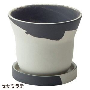 Aؔ  ی^  󂯎Mt tB[J|bg A