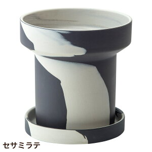 Aؔ  ی^  󂯎Mt tB[J|bg F